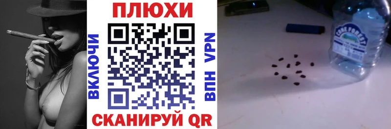 где можно купить   Губкинский  blacksprut tor  Гашиш Premium 
