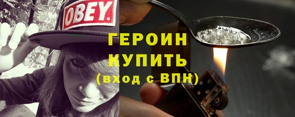 индика Медвежьегорск