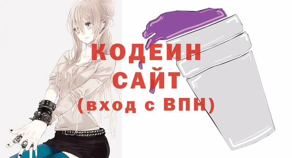 индика Медвежьегорск