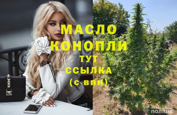 индика Медвежьегорск