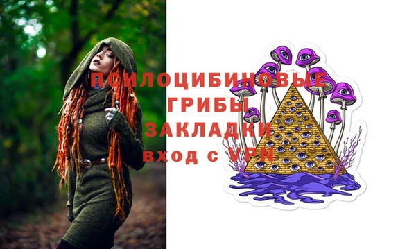 индика Медвежьегорск