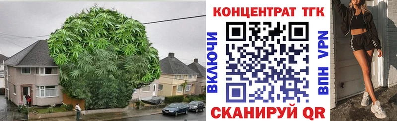 Дистиллят ТГК THC oil  где продают наркотики  Губкинский 